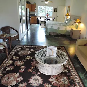  Holiday home Hale Pua - Hibiscus United States